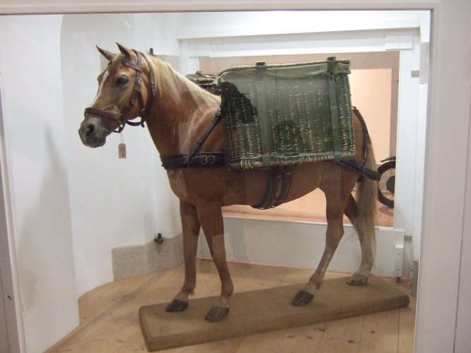 Ausgestopfter Haflinger, der für die Gebirgstruppe im Einsatz war in der Sammlung der Stiftung „Deutsche Gebirgstruppe“ © Bayerisches Armeemuseum